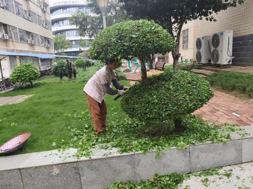 6e458ff66078d4bdeffd4ab04ad130cc