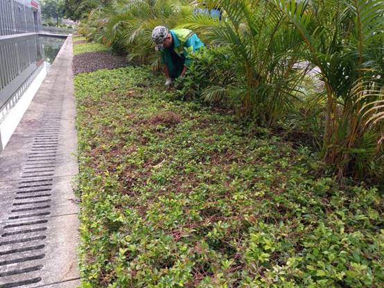 54d710fcfe572bfbbae99d875120341