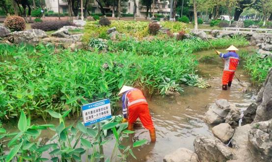 花园里的摆设布局描述已自动生成