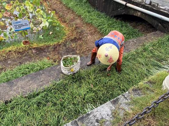 8af20738dc0edbd4ff295148a2dfd16