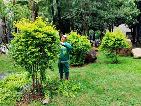 8cea655271d7fc06d381db2d0b6a6d2