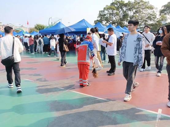 62254acc3306342429eca838ecb0db6