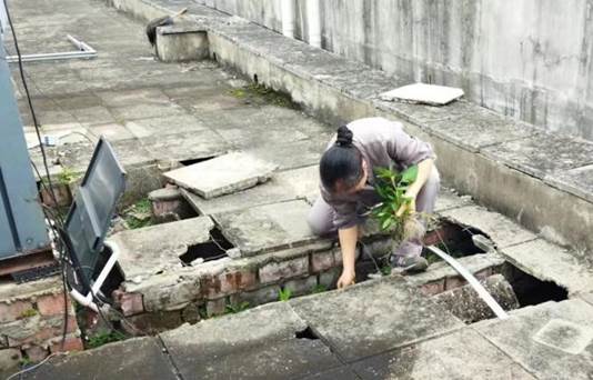 说明: e0eff5e1c71cdd8a9e7d1643840ded5