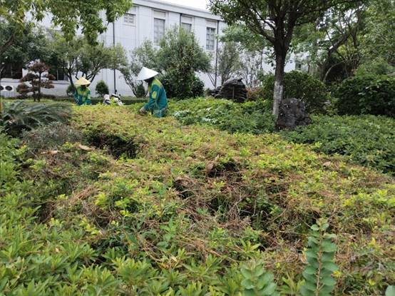 d597f2489c2d6dcee288582a9eb23d2