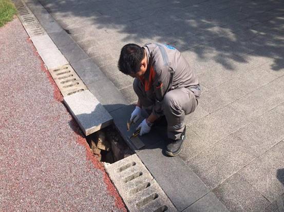 403aed55a95be2f0505d362d221e862