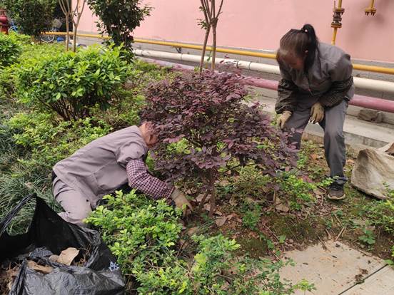 说明: c32083e84cbc887e8e36cf694f71c72