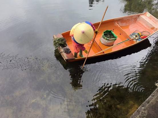 8e287408861fd2127b15ab088368dbf