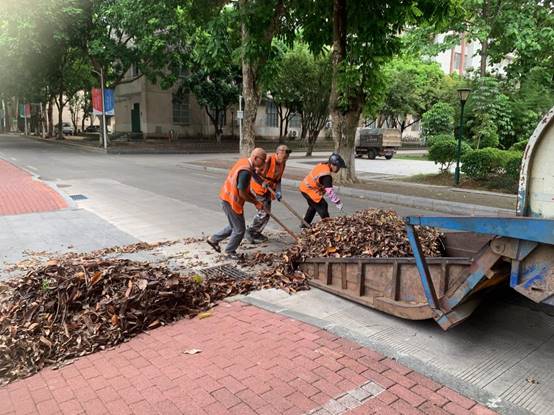 672362559a893a5b8dedea41f5fb533