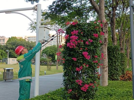 cef09828f0d6d129fd4cfe5b503190c