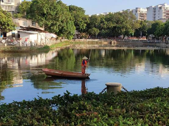 42657d3d81ad6fb33c32a80e771531e