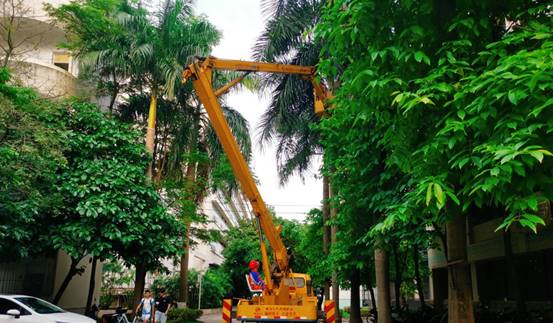 d655f0de33c70d67a0555b5f75291e35_