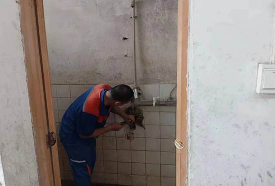 说明: c78675817bddfa5a3c14095d919917e