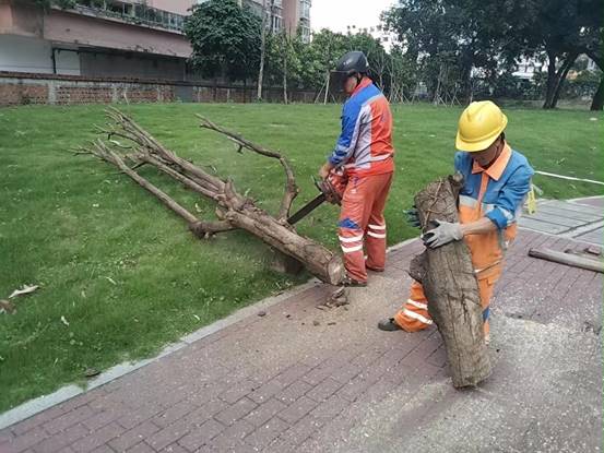 f252e31530b49cad9b024b029550d0a