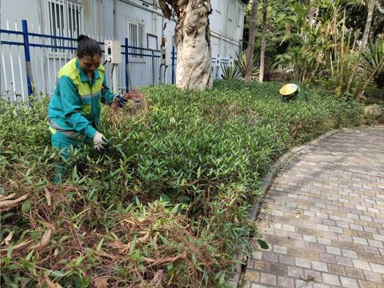 6afb4ce78d8f576158df2754900063d