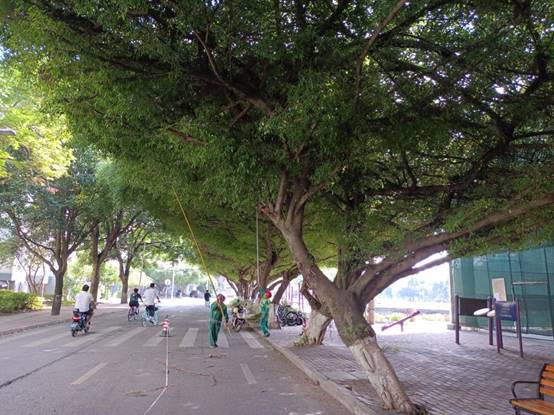 56991508e9f93a26aa8b7b6e4751de3