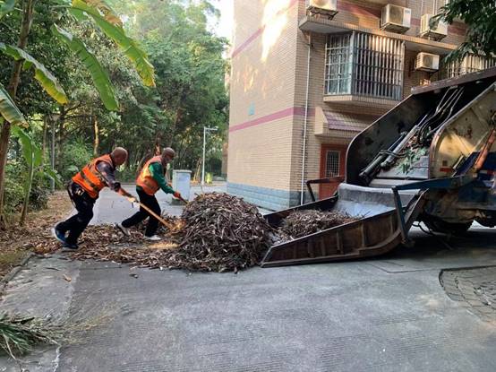 ba3abe601990bfab1e00caf4986c60d