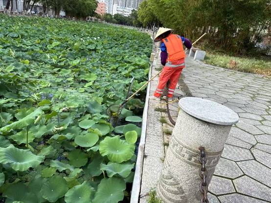 961ef76a4cdacb7cbc9a575e779553d