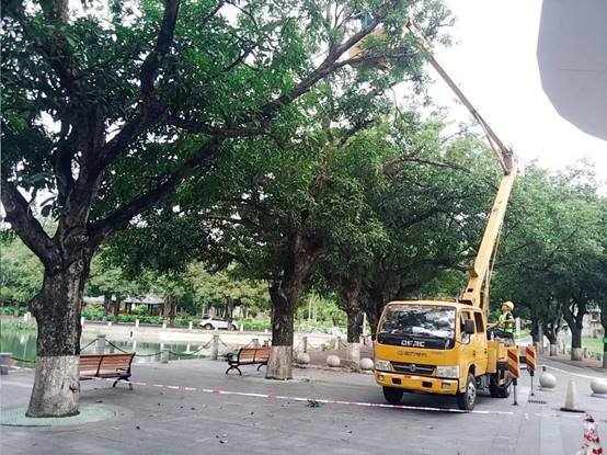 af3edc65a1cac1b64b9ecd636fa97cc