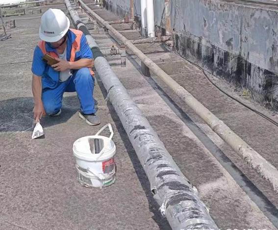 13fb315d2d2b447ebf3f1ad3c78f775