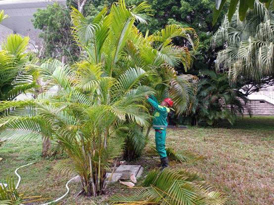 da510fefdf25dfb7baee3e072d7d7a4