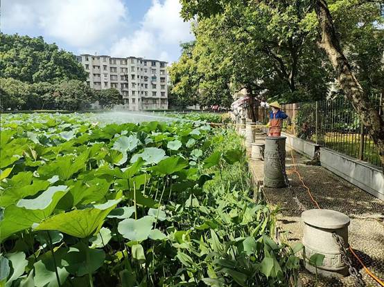 1f28e540d714e5769250a2dc54dd8e7