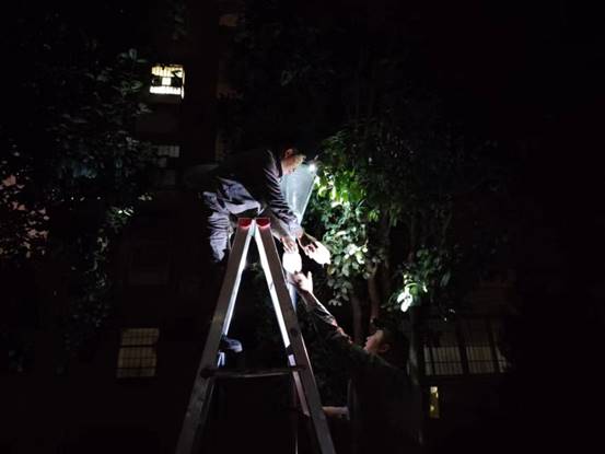 83c797db99084902cca561720689b11