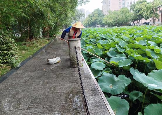 0068ffcf89cec6cfad193fbdc007525