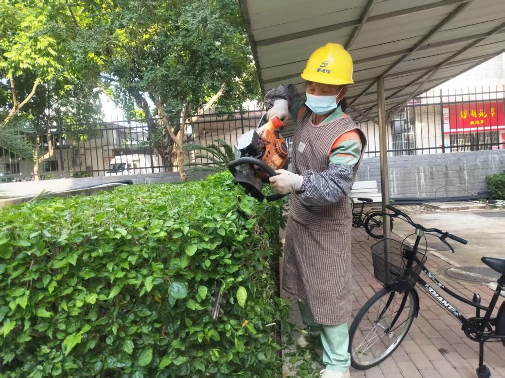 12908bb391df14afa6dc12f36d257ecd