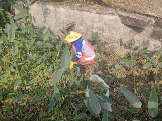 b043a071a839ee4cf16060c1f449a46