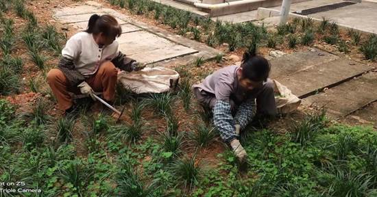 说明: e155728adc1b2c7a229d901a5208d40