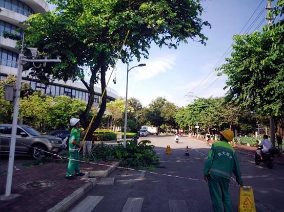 388f130ad7cc9e57c9f88e09107d2c4