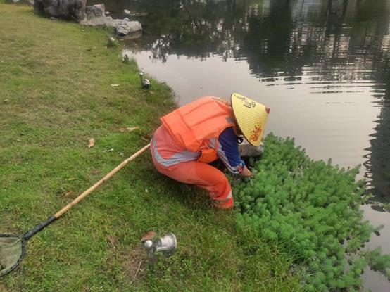 3977a032398a30969c63117c7050753