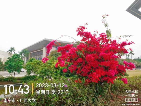 f2447968ce3ff6207977031f45500a7