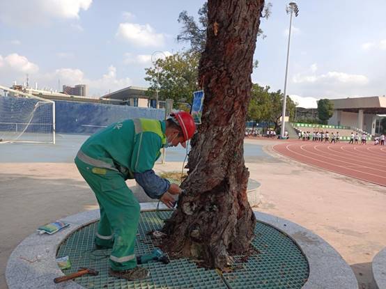 1f096614f3aef7096974719164636d2