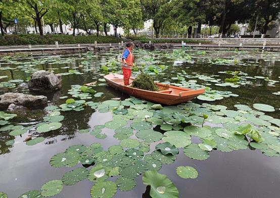 c1409d7716ceea6a53e54be4541e2ac