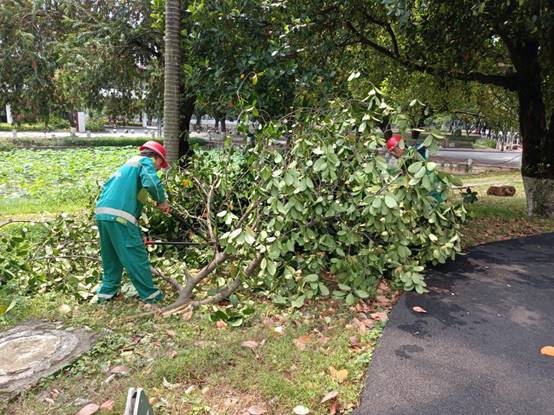 3a216996b55c237cc67c227b5b0d99d