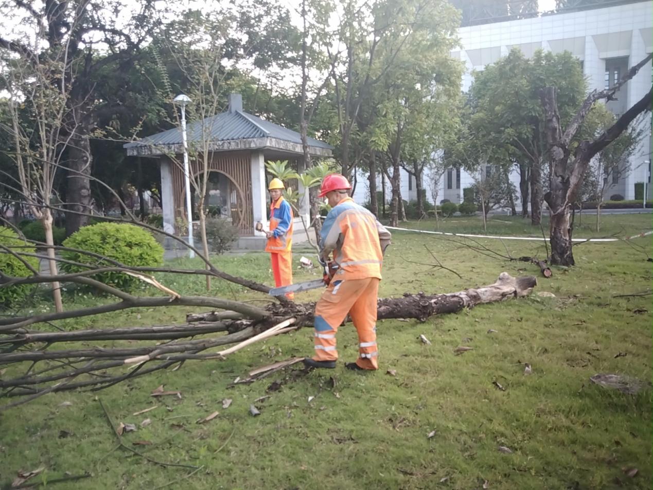 136bc35e62ae817cb92bc424df8ebbc