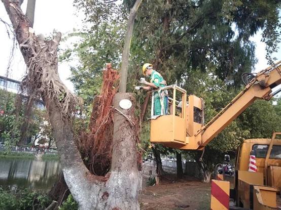 42a97749a059bdc8f2b2a56b29c97d1