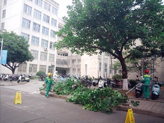 fe2ccbc7a1ae3c2e734c6f32ff77da7