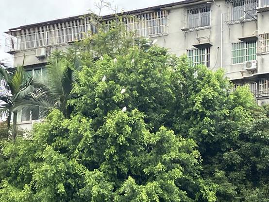 f20594876994cab644d8bd99f47d08f