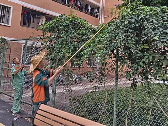 说明: a0880a17a45f8d112873b71e38d54a8