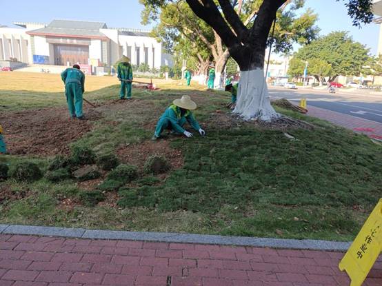 c396f61bb509e7a5ffd509c480606c6