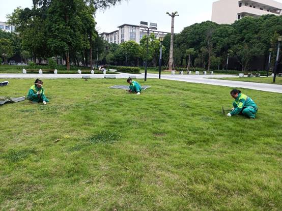 576eae01d1dd625345d862a1c65c510