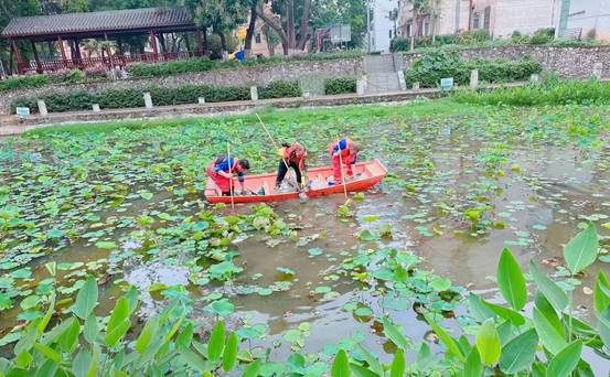 花园里的摆设布局中度可信度描述已自动生成