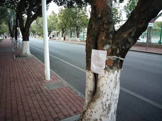 16692365788ea8b889c1a4bfe09e795