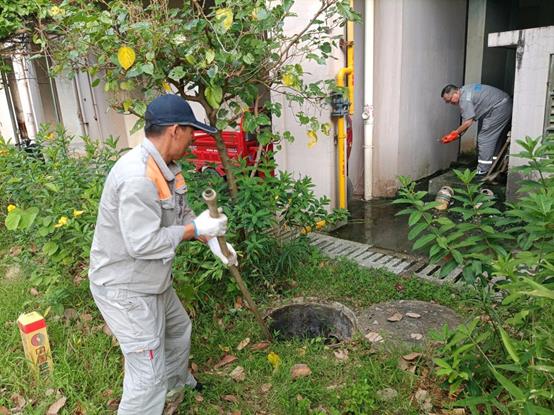 b8e2e6230965d831b600dc2ef623e07