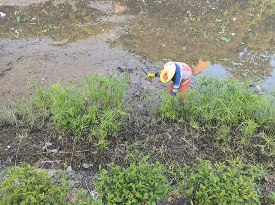 4b73a7b828a07aaafb66a3aa795112d