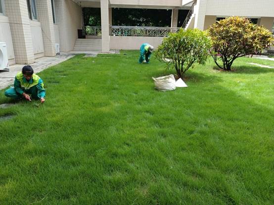 13ffb047494af398429dc53699713c8