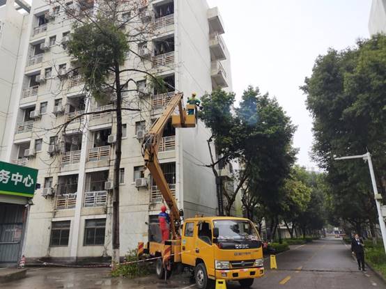 0db2ce1d17530d0d45c7283ef31511c