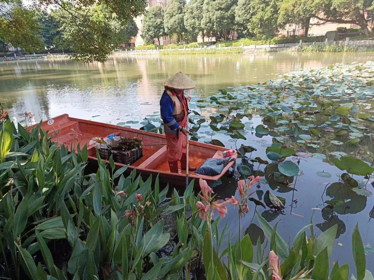 159fca0c07bd93a0695362d68793300